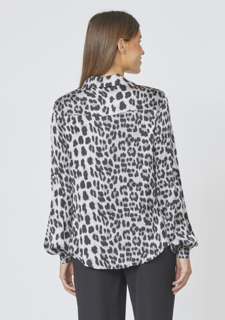  GREY LEO
