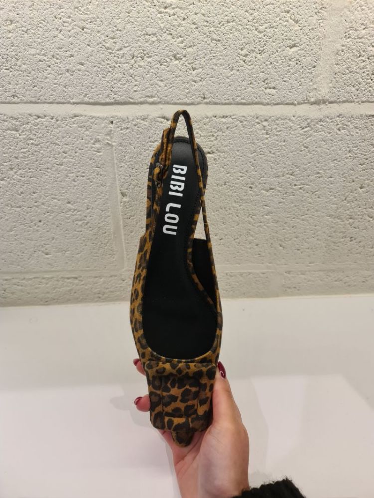 LEOPARD