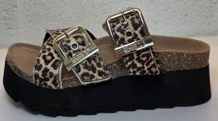 LEOPARD