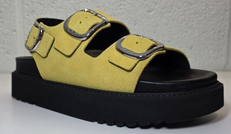  GIALLO